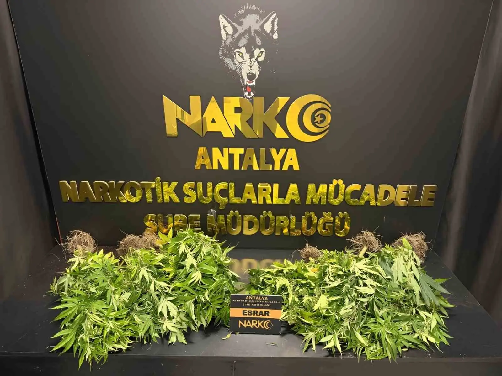 ANTALYA’DA SON 1 HAFTADA DÜZENLENEN 32 NARKOTİK OPERASYONUNDA, 28 BİN 519 SENTETİK ECZA İLE 291 PARÇA HALİNDE 96 BİN 965 KULLANIMLIK SENTETİK KANNABİNOİD (A4) ELE GEÇİRİLDİ.