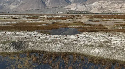 ERZİNCAN’IN DOĞAL GÜZELLİKLERİ ARASINDA YER ALAN EKŞİSU SAZLIĞI’NDAKİ KUŞ CENNETİ, HAVALARIN SOĞUMASIYLA BİRLİKTE GÖÇ MEVSİMİNİN SON GÜNLERİNİ YAŞIYOR. BÖLGEDE KALAN KUŞLAR, GÖÇ ÖNCESİ SON GÜNLERDE DRONE İLE GÖRÜNTÜLENDİ