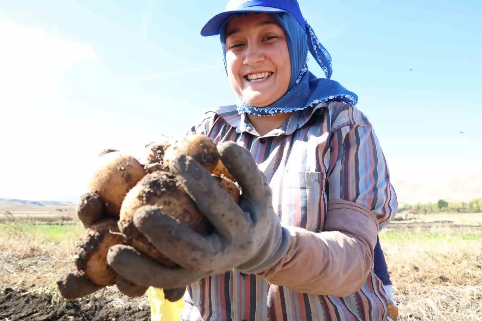 BİTKİ ZARARLILARINA KARŞI TARIMSAL İLAÇ KULLANIMINI AZALTMAK, ÇİFTÇİLERİ DOĞAL ÜRETİME TEŞVİK ETMEK, ÇEVRE VE İNSAN SAĞLIĞINI KORUMAK AMACIYLA ÜRETİLEN PATATESLERİN HASADI KORKUTELİ KIRKPINAR MAHALLESİNDE YAPILDI.