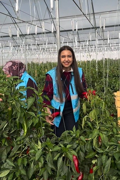 ÇAYIRLI’DA ÖĞRENCİLER SERA ZİYARETİNDE HASADA KATILDI