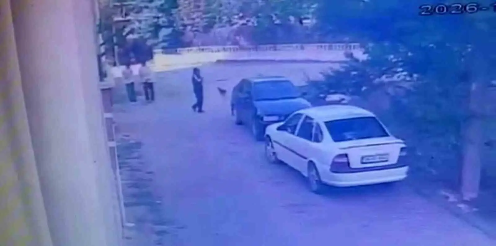 BOLU'DA PARK HALİNDEKİ OTOMOBİLİN KAPISINI AÇARAK İÇERİ GİREN VE ARAÇTA BULUNAN SAATİ ALAN ŞAHIS, ARKADAŞLARIYLA BİRLİKTE OLAY YERİNDEN UZAKLAŞTI. HIRSIZLIK ANI GÜVENLİK KAMERASINA YANSIDI.