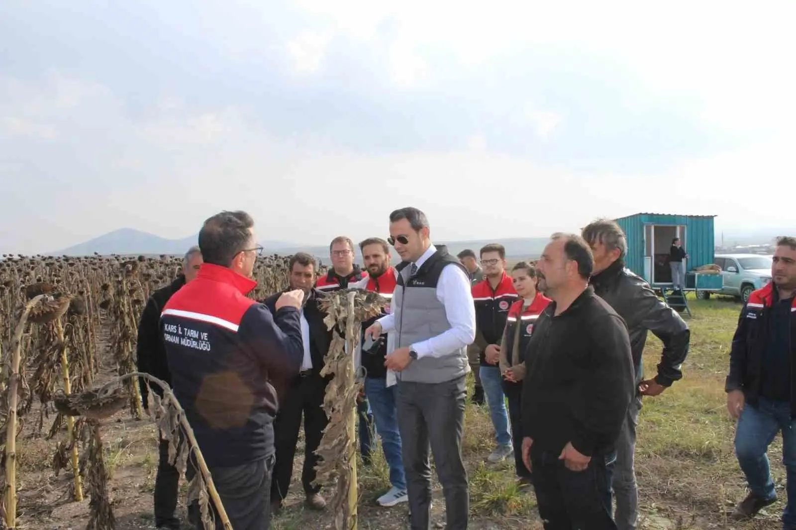 SELİM’DE 80 DÖNÜMLÜK TARLADA AYÇİÇEĞİ HASADI(KARS-İHA)