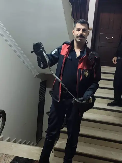 DEFNE’DE YERLEŞİM YERİNDE GÖRÜLEN YILAN İTFAİYE EKİPLERİNCE YAKALANARAK DOĞAYA BIRAKILDI.